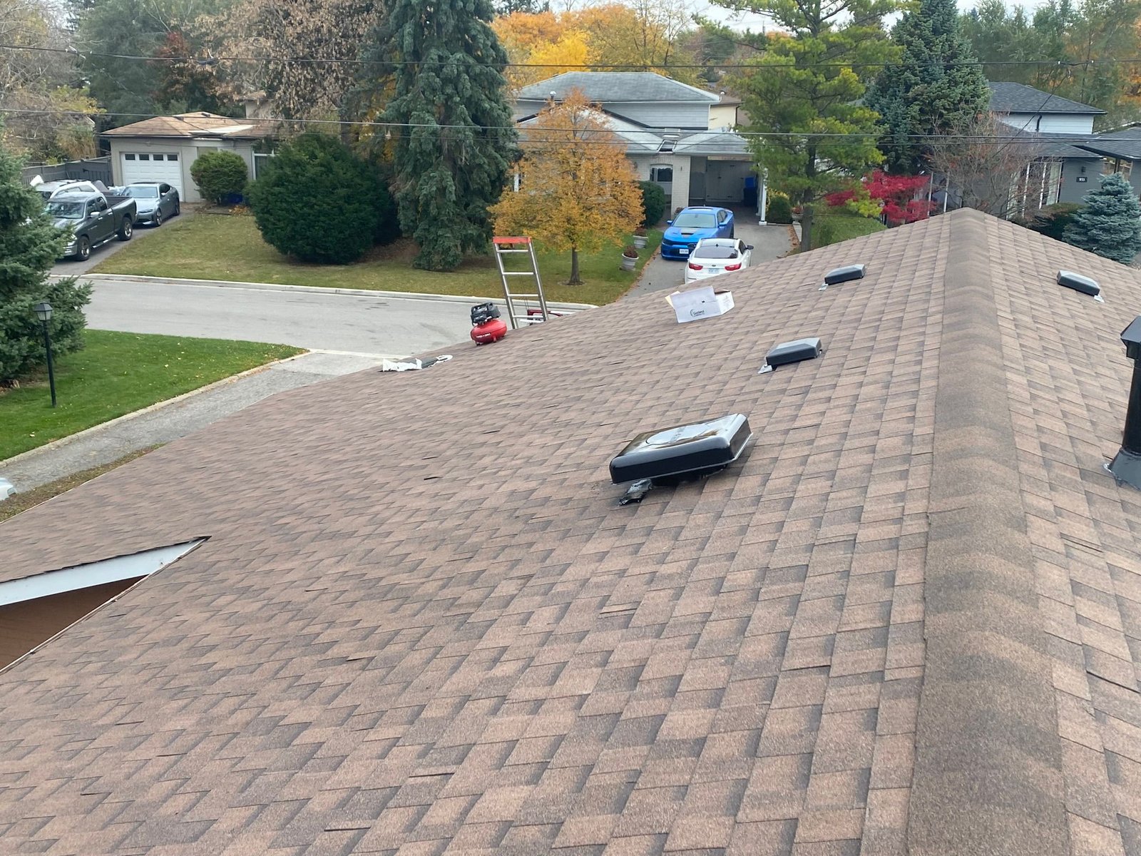 WhatsApp Image 2025-02-12 at 03.11.11_a56a1f35